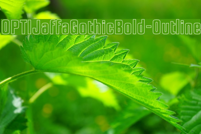 OPTIJaffaGothicBold-Outline Font examples