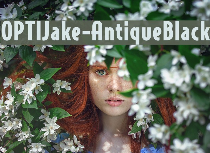OPTIJake-AntiqueBlack Polices examples