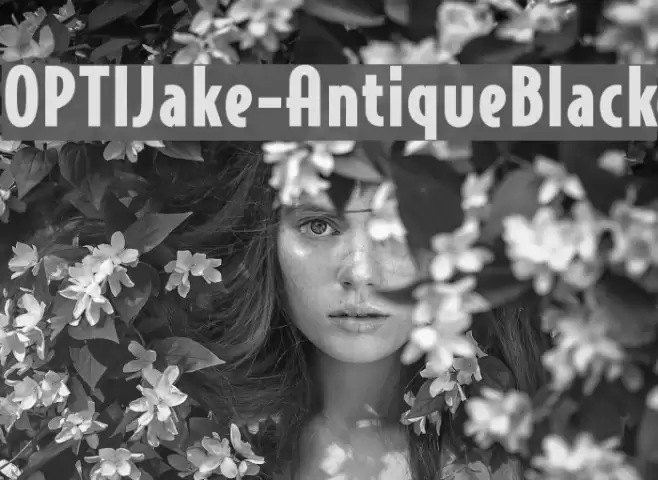 OPTIJake-AntiqueBlack Font examples