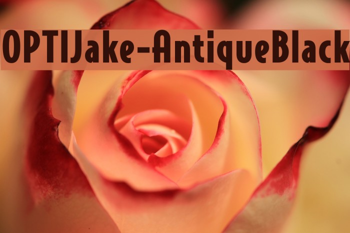 OPTIJake-AntiqueBlack Polices examples