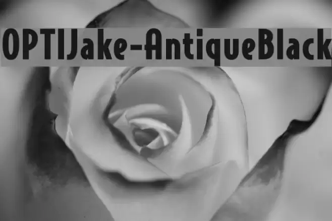 OPTIJake-AntiqueBlack Font examples