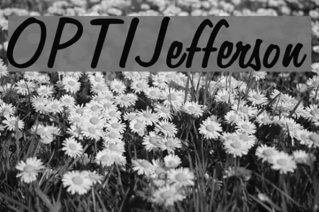 OPTIJefferson Font examples