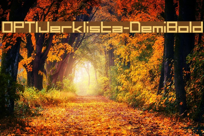 OPTIJerklista-DemiBold Font examples