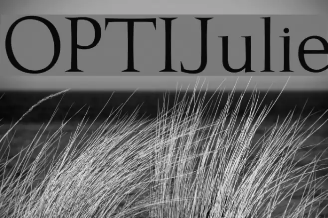 OPTIJulie Font examples