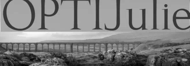 OPTIJulie Font examples