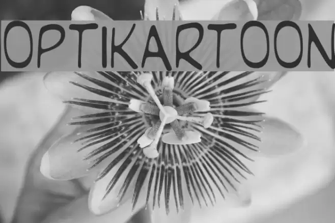 OPTIKartoon Font examples