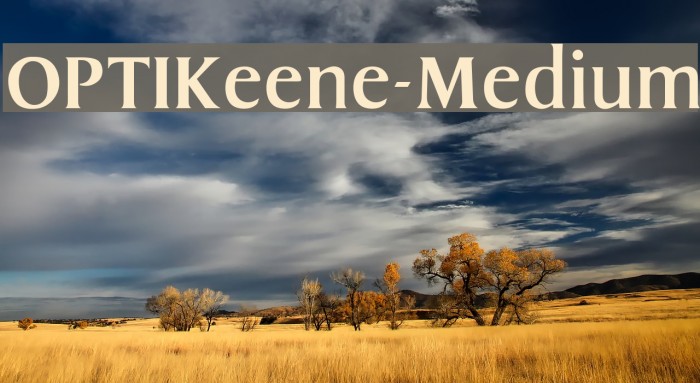 OPTIKeene-Medium Font examples
