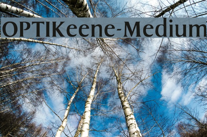 OPTIKeene-Medium Font examples