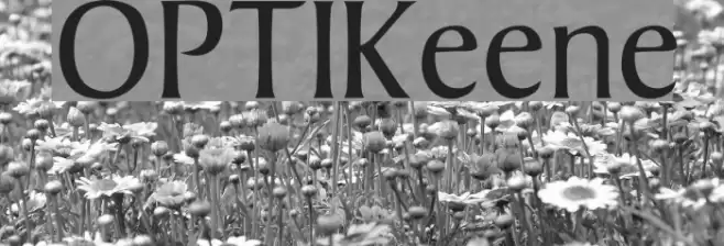 OPTIKeene Font examples