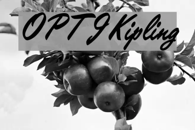 OPTIKipling Font examples