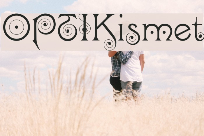 OPTIKismet Example 2