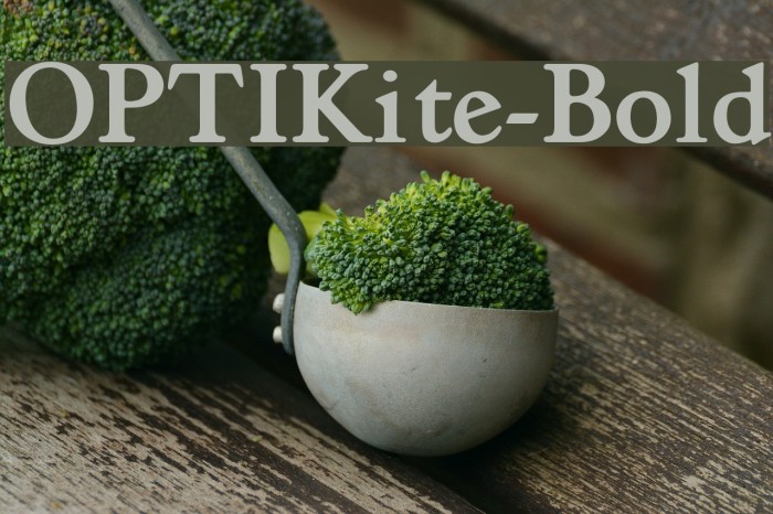OPTIKite-Bold Font examples