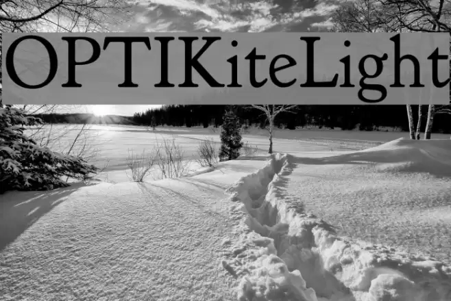 OPTIKiteLight フォント examples