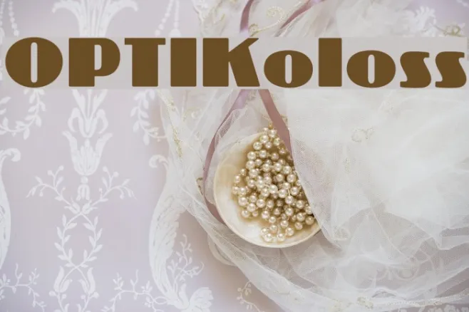 OPTIKoloss Example 1