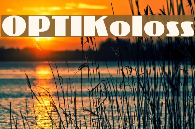 OPTIKoloss Example 2