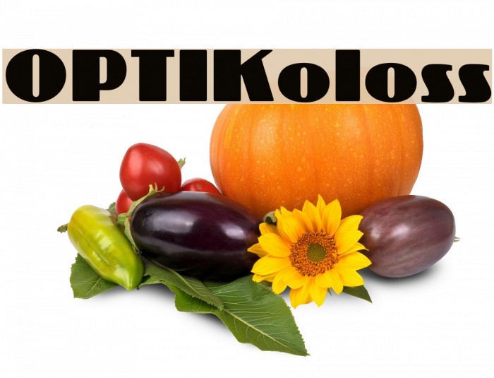 OPTIKoloss Font examples