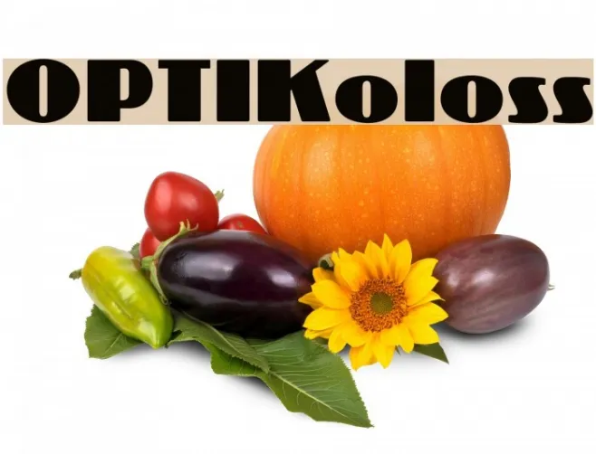 OPTIKoloss Example 3