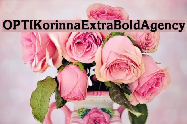 OPTIKorinnaExtraBoldAgency Example 2