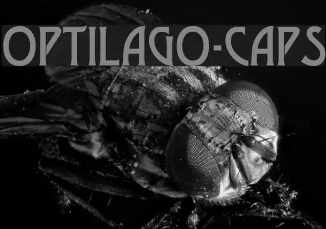 OPTILago-Caps Font examples