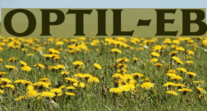 OPTILagoon-ExtraBold Font examples