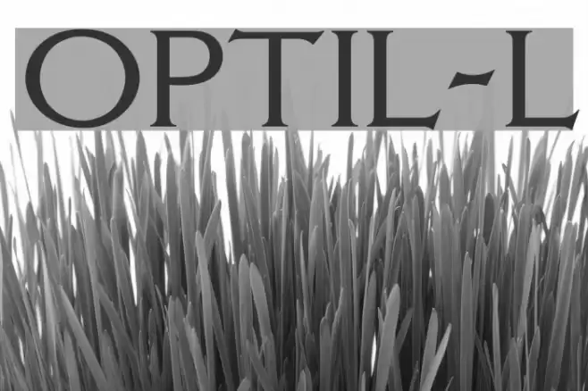 OPTILagoon-Light Font examples