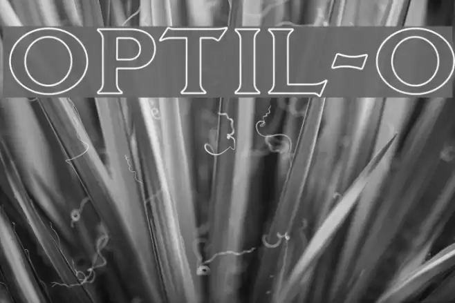 OPTILagoon-Open Font examples