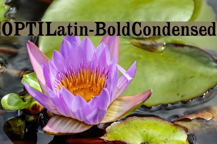 OPTILatin-BoldCondensed Font examples