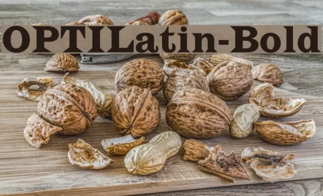 OPTILatin-Bold Example 1