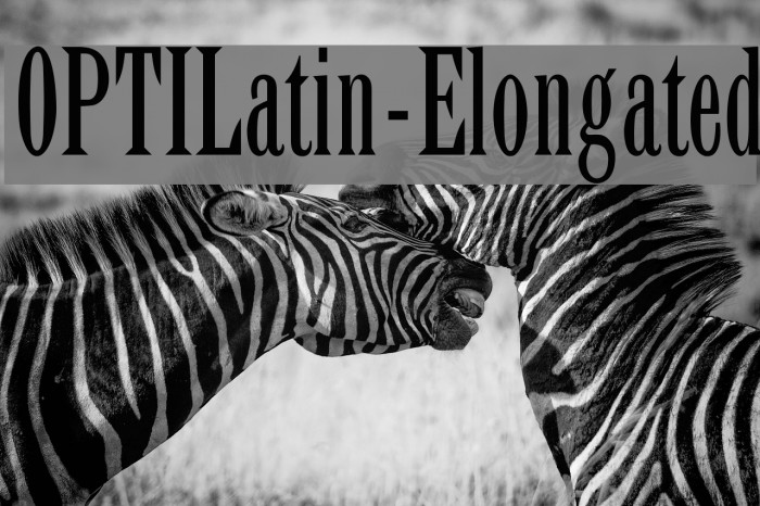 OPTILatin-Elongated Font examples