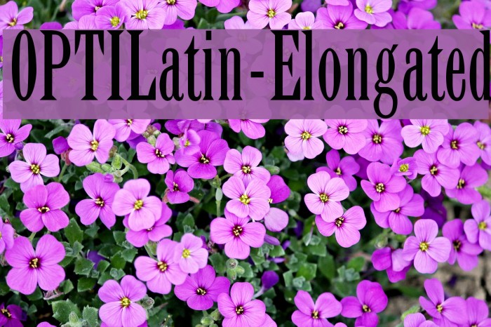 OPTILatin-Elongated Font examples