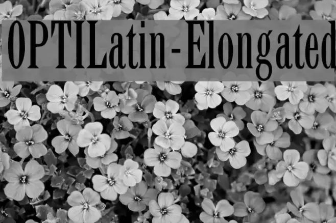 OPTILatin-Elongated Font examples