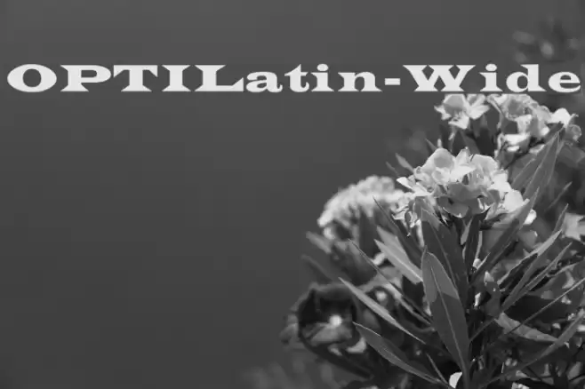 OPTILatin-Wide Font examples