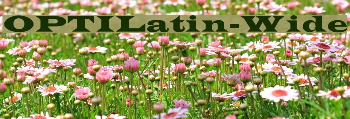 OPTILatin-Wide Font examples
