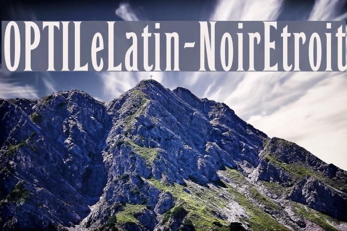 OPTILeLatin-NoirEtroit Font examples