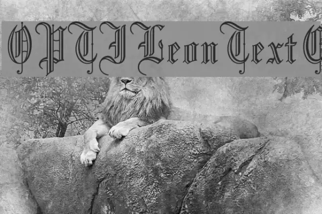 OPTILeonTextC Font examples