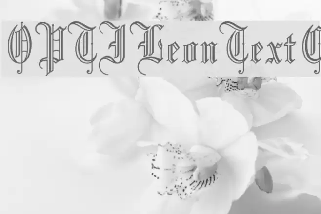 OPTILeonTextC Font examples