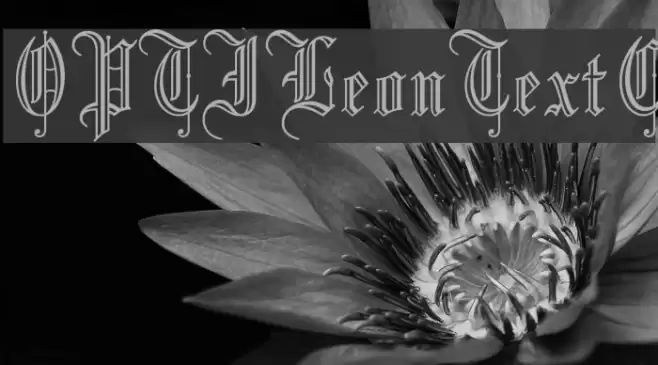 OPTILeonTextC Font examples