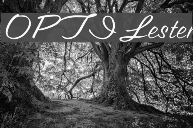 OPTILester Font examples