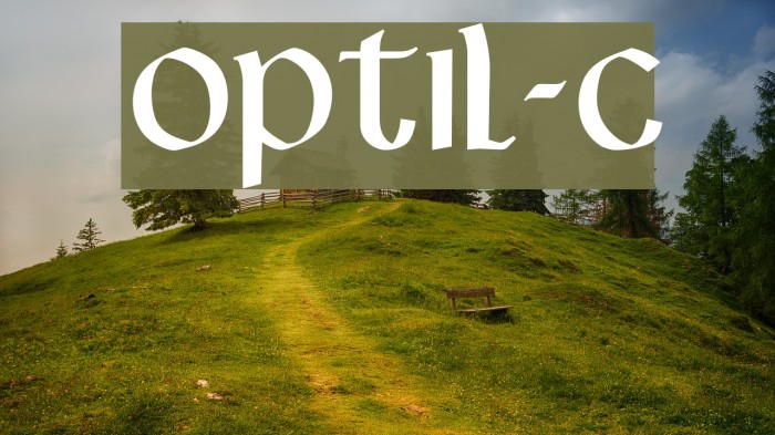 OPTILignier-Caps Font examples