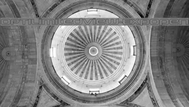 OPTILimitedView-ExpOpen Fonte examples