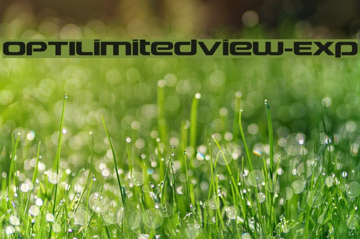 OPTILimitedView-Exp Fonte examples