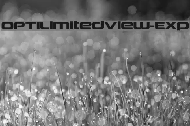 OPTILimitedView-Exp Fonte examples