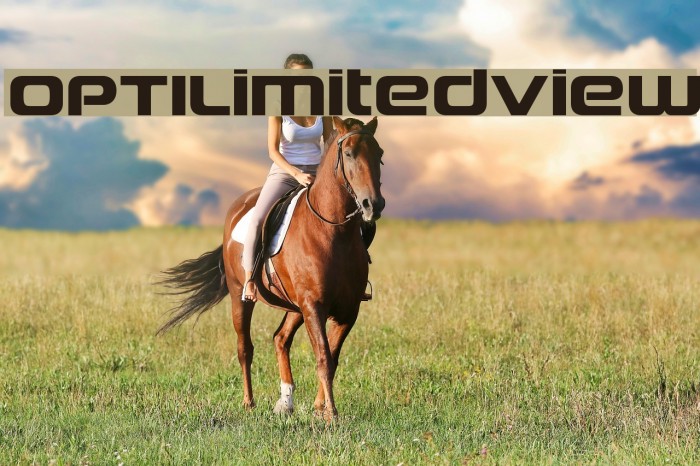 OPTILimitedView Font examples