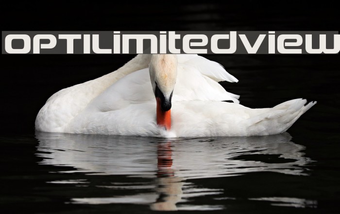 OPTILimitedView Font examples
