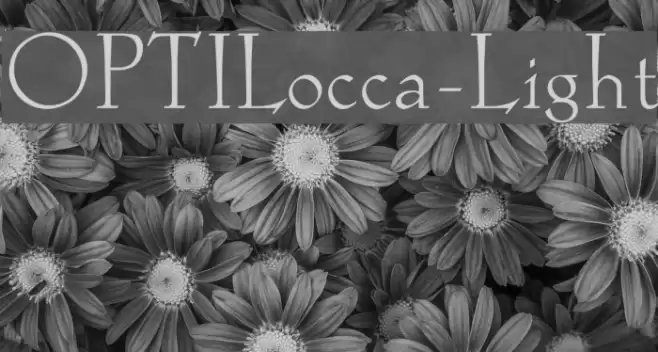 OPTILocca-Light Font examples
