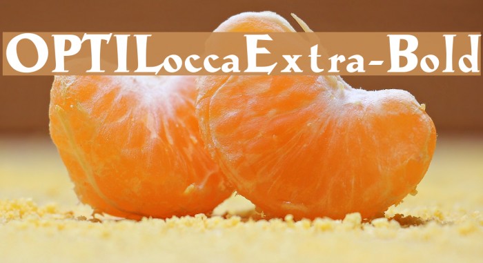 OPTILoccaExtra-Bold Example 1