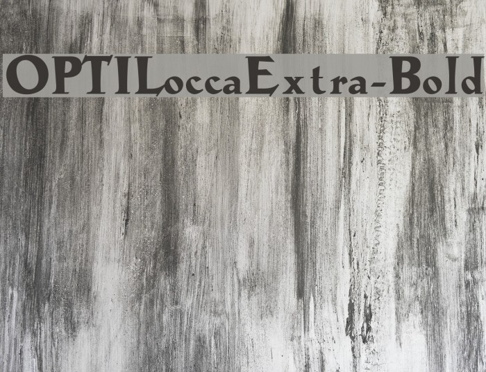 OPTILoccaExtra-Bold Example 2