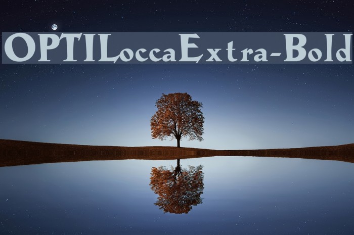 OPTILoccaExtra-Bold Example 3