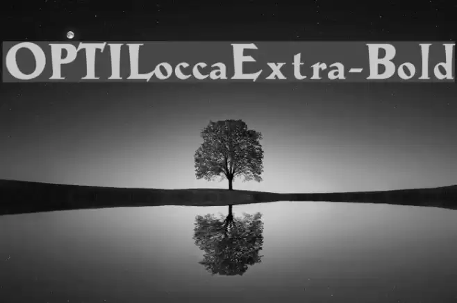 OPTILoccaExtra-Bold Font examples