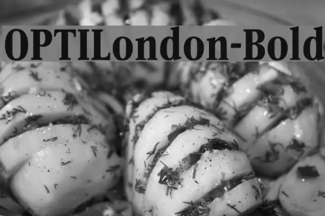 OPTILondon-Bold Font examples